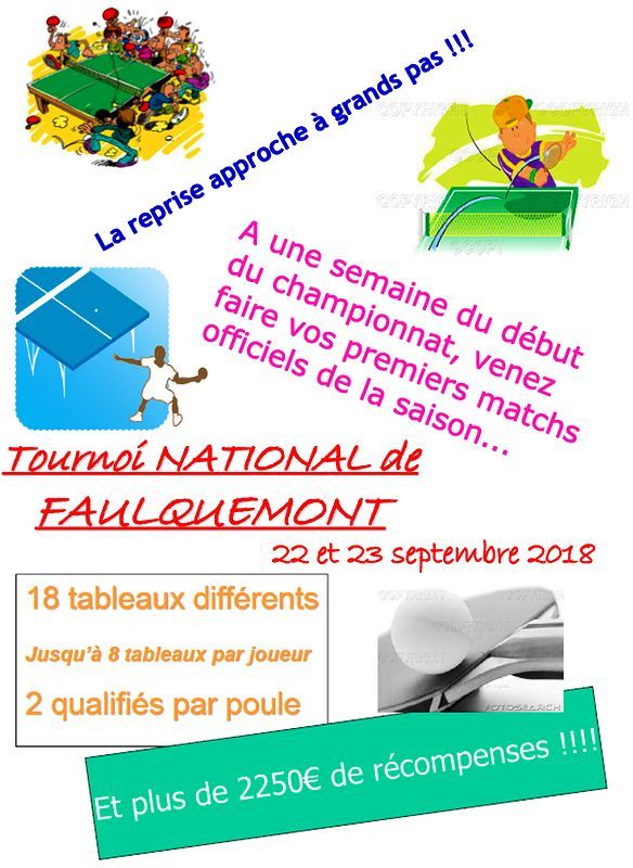 Tournoi National 2018 de Faulquemont (57)